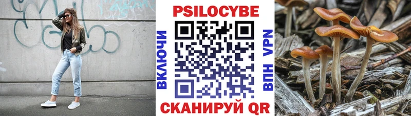 купить   Нижний Ломов  Псилоцибиновые грибы мицелий 